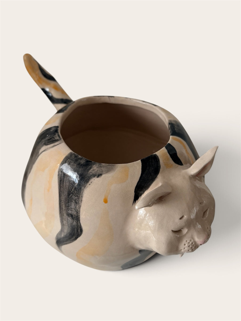 Mr. Motanescu vase