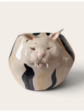 Mr. Motanescu vase