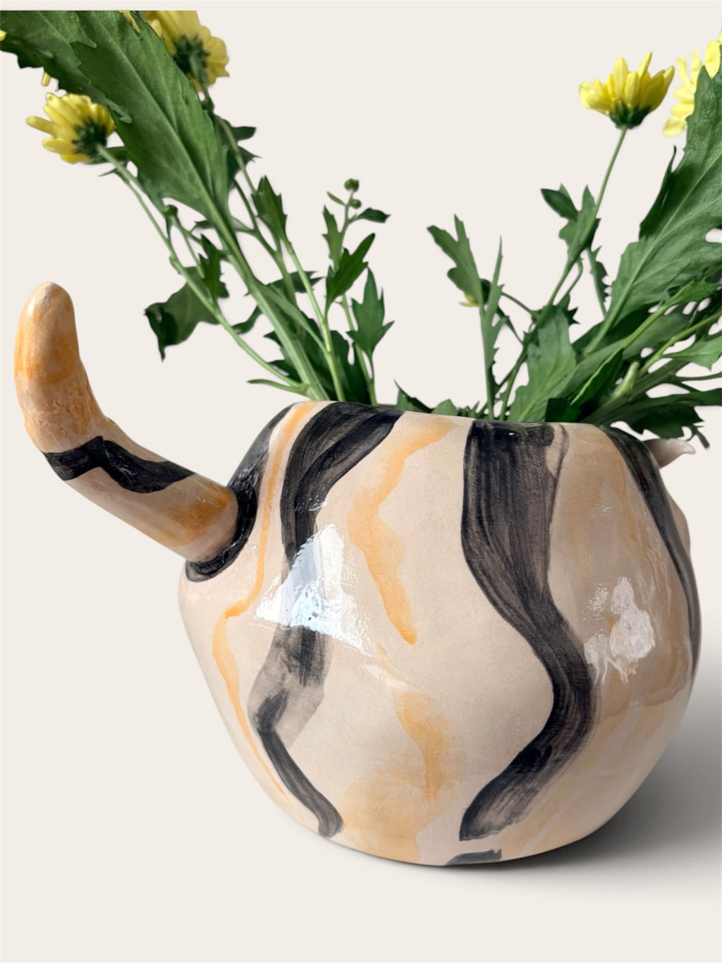 Mr. Motanescu vase
